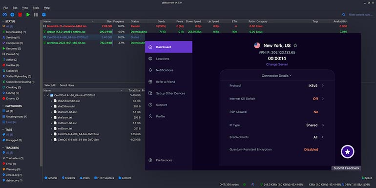 qBittorrent через PureVPN